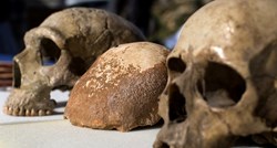 Neandertalci su prije 70.000 godina kuhali jela od sušenih mahunarki