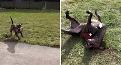 Video pasa iz skloništa dirnuo ljude, pogledajte koliko su sretni kad se igraju vani