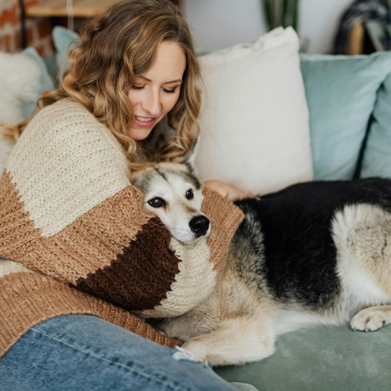 Navike ljudi koje psi potajno mrze