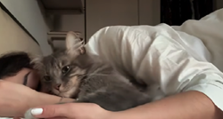 Četiri razloga zašto biste trebali pustiti mačku da spava s vama u krevetu