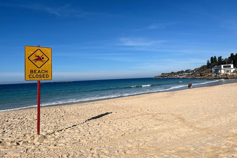 Morski pas teško ozlijedio ženu na popularnoj plaži u Sydneyju
