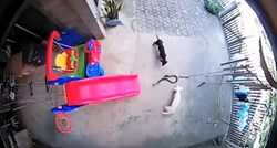 VIDEO Hrabra kujica izgubila život nakon što je spasila bebu od kobre