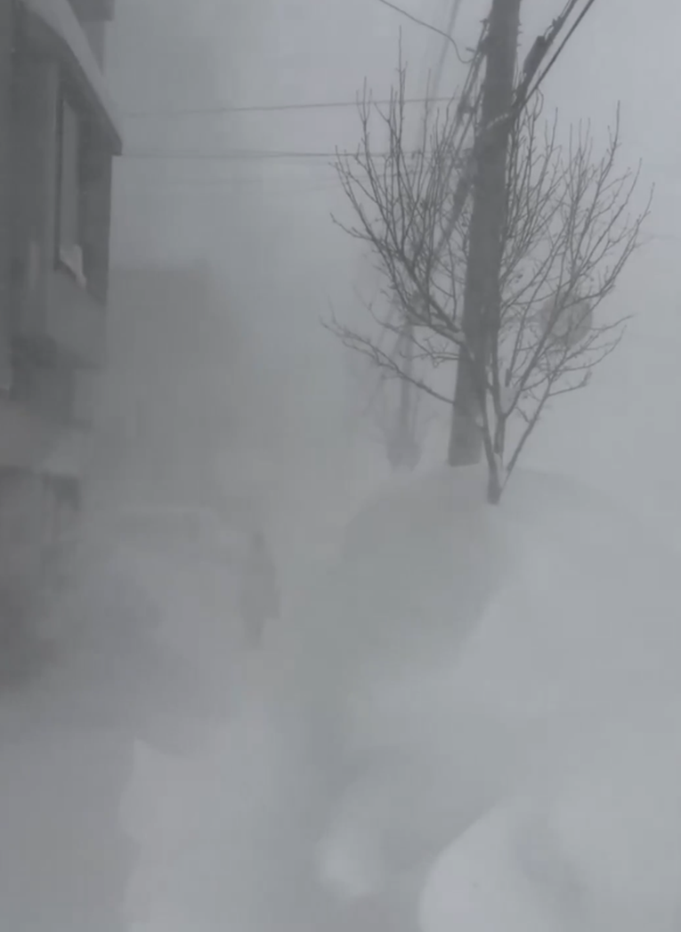 Tjednima pada obilan snijeg u Japanu. Najmanje 35 mrtvih, većinom dok su ga čistili