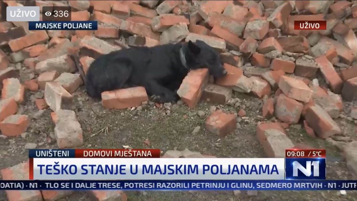 Prizor koji slama srce: Pas u Majskim Poljanama čuva kuću koje više nema