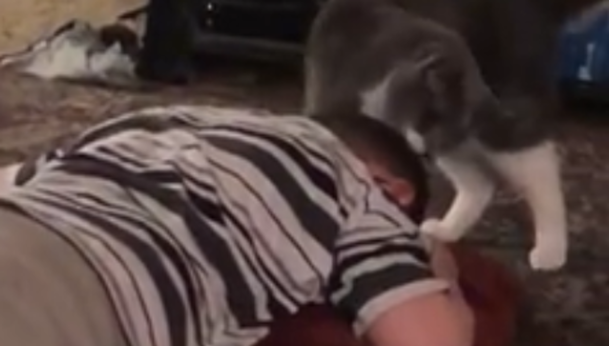 Dječak pati od rijetkog poremećaja, a smiriti ga može jedino njegova mačka