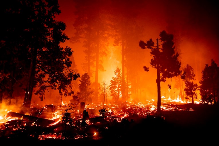 Kaliforniju zahvatili najgori požari u zadnjih 30 godina i rekordan toplinski val