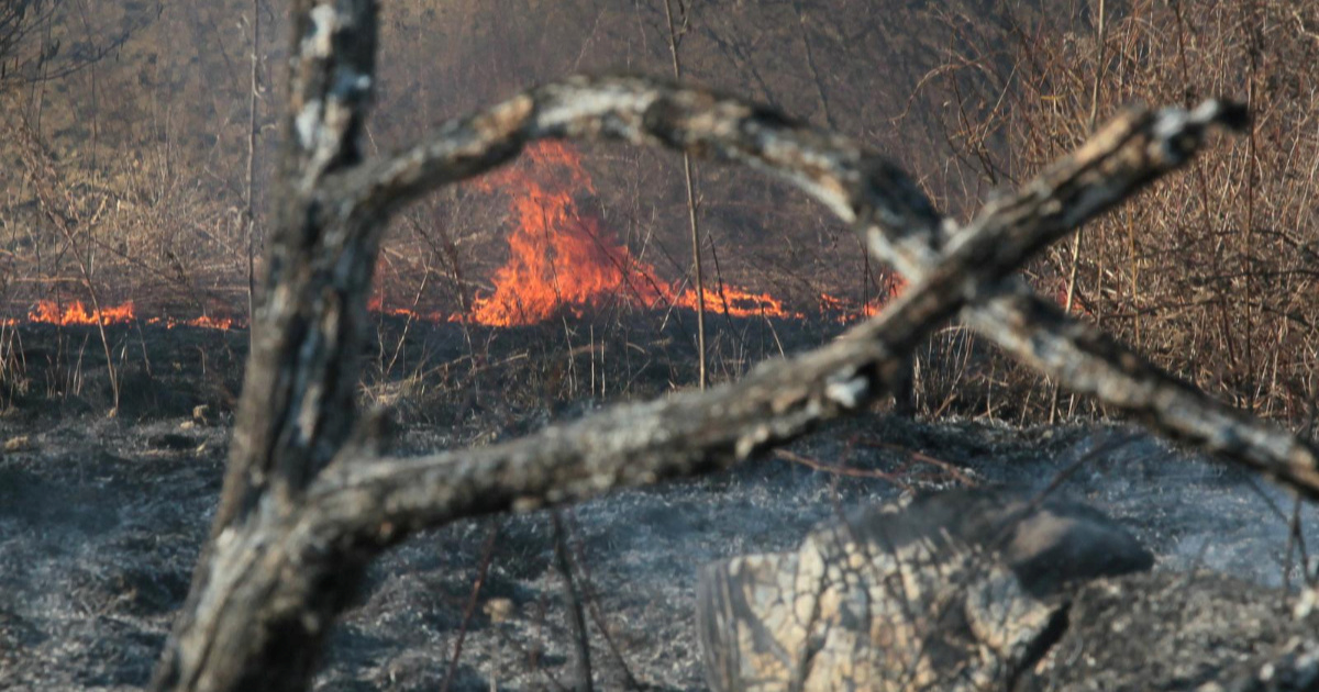 Kod Šibenika izbila dva manja požara