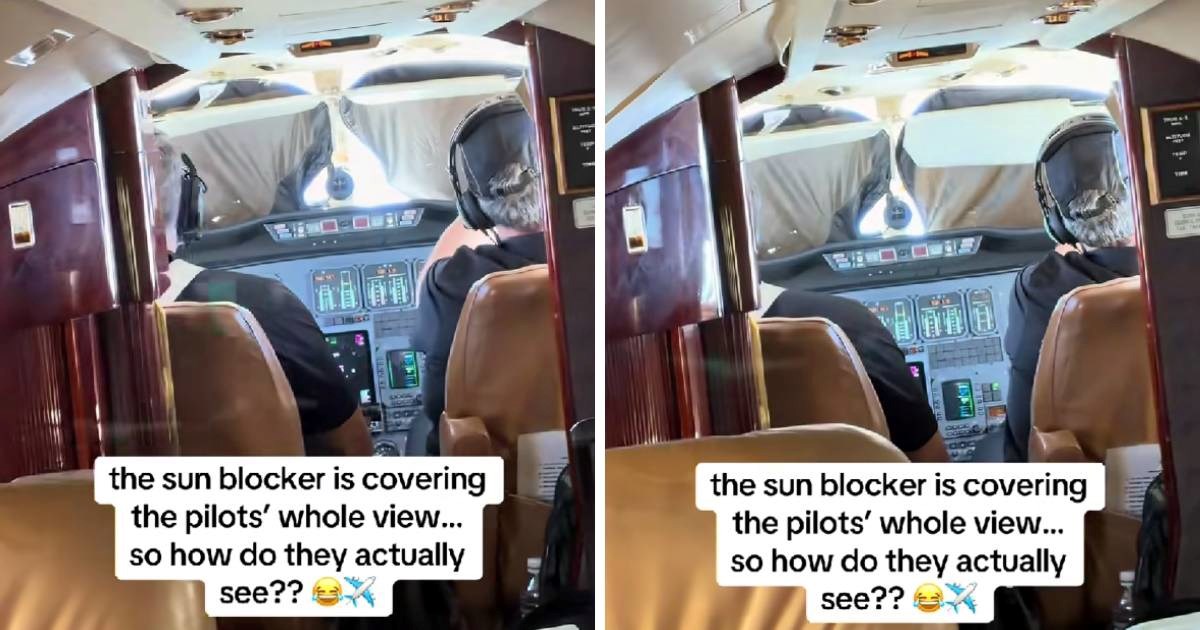 22,5 mil. pregleda: Video iz kabine zrakoplova zbunio ljude, profesor dao objašnjenje