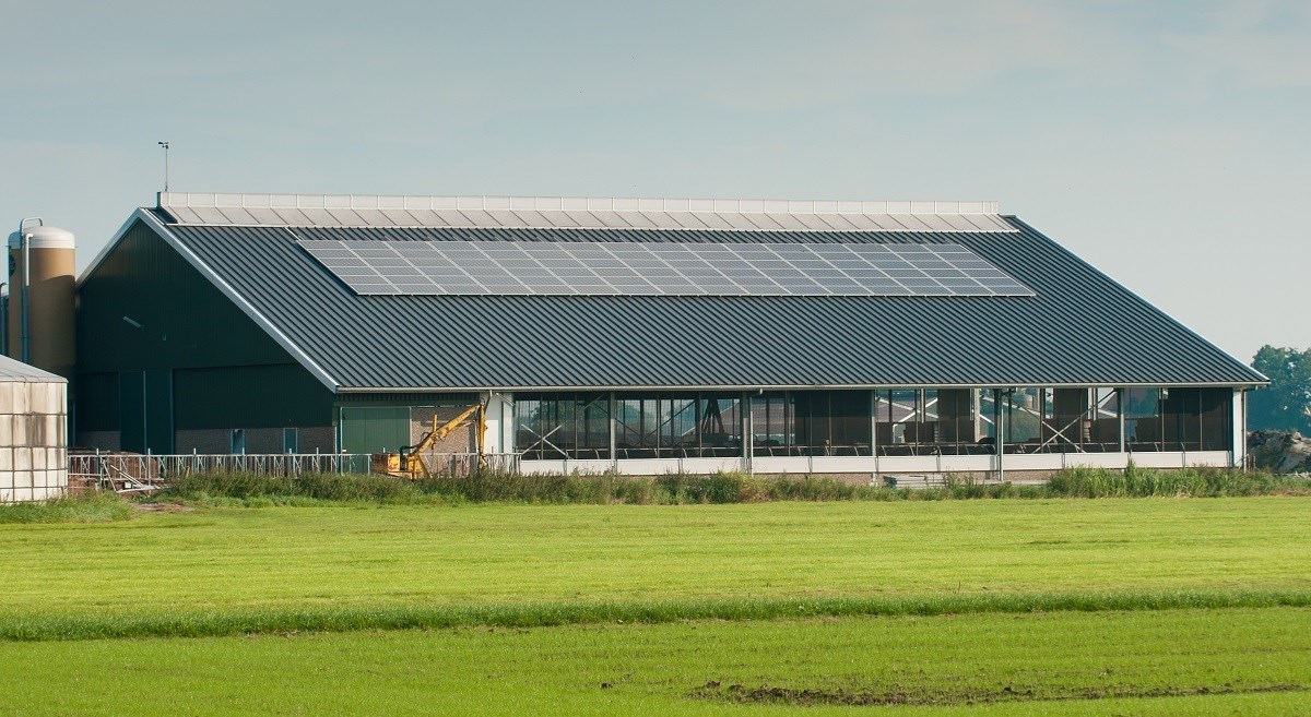 Studija: Hrvatska prepoznala važnost agrosunčanih elektrana u poljoprivredi