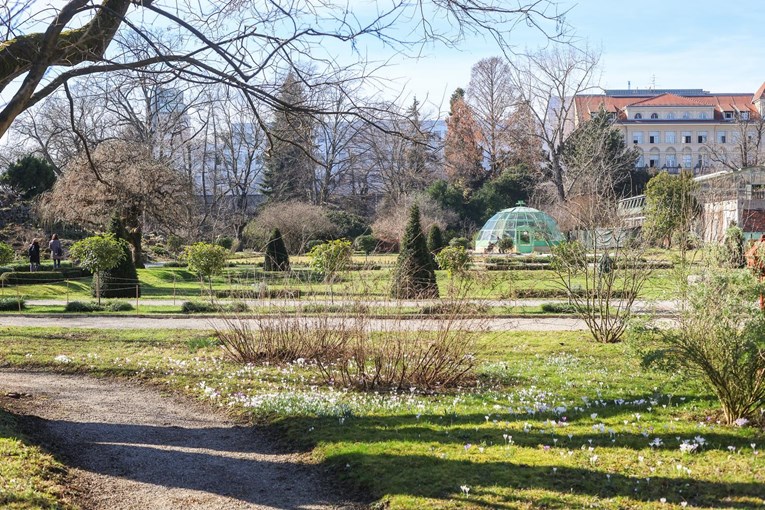 VIDEO Botanički vrt u Zagrebu otvoren je za posjetitelje, zavirite unutra