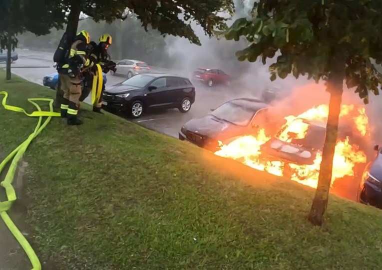 Požari, srušena stabla i prometna: Zagrebački vatrogasci imali hrpu intervencija