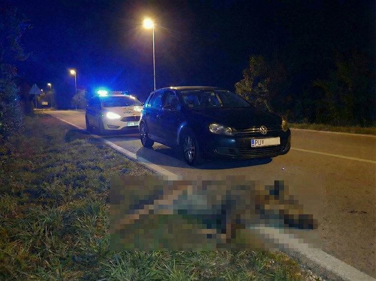 Naleti na divljač u Istri, stradali zec, srna i divlja svinja. Policija šalje upozorenje
