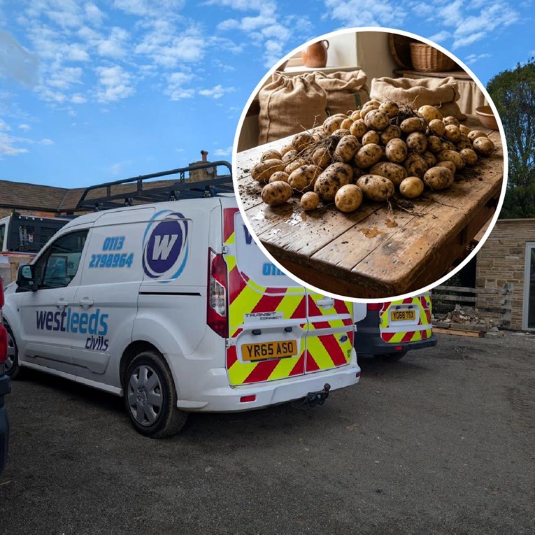 Žena dobila 26,000 eura u tužbi za diskriminaciju jer ju je šef zvao "krumpir"