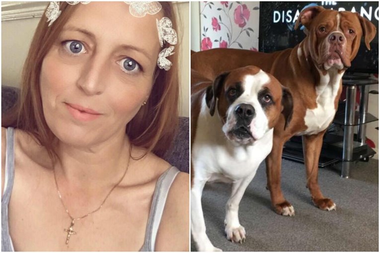 Britanku ubili vlastiti psi, njezin partner tvrdi kako dosad nisu bili agresivni