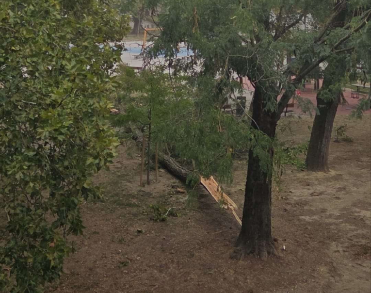 Stigla velika promjena vremena: Srušena stabla u Zagrebu i Rijeci, poplavljena cesta