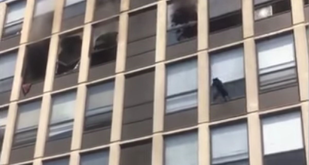 Mačka bježeći od požara skočila s petog kata i preživjela, snimka je spektakularna