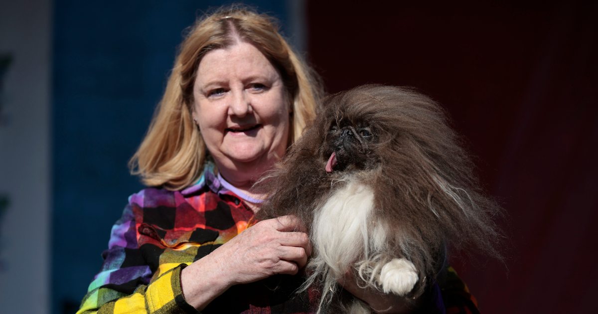 Osmogodišnji pekinezer pobijedio na izboru za najružnijeg psa na svijetu