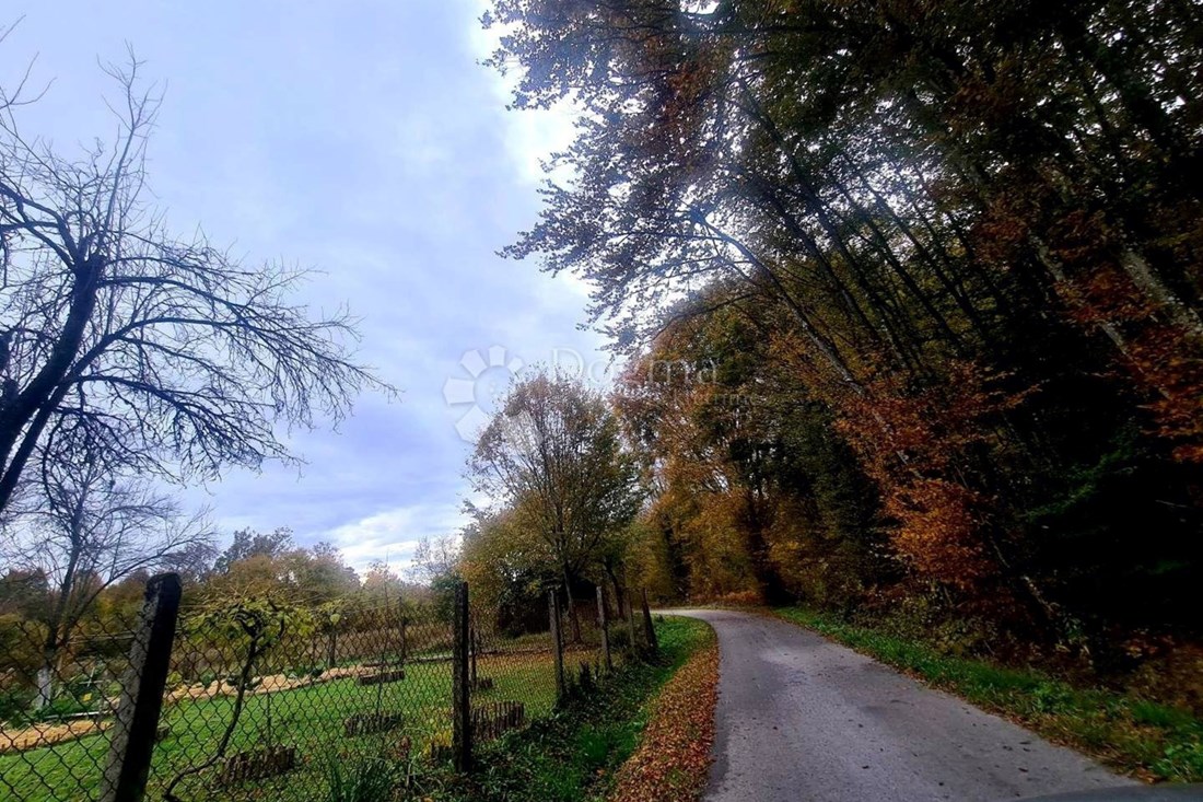 Kamena kuća na Braču, 10 metara od rive, privukla veliku pažnju