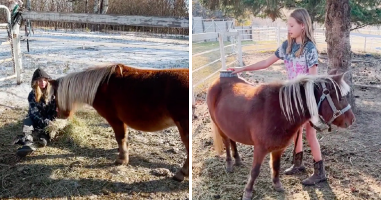 VIDEO Kobila nije imala nijednog prijatelja, a onda je upoznala ovu djevojčicu