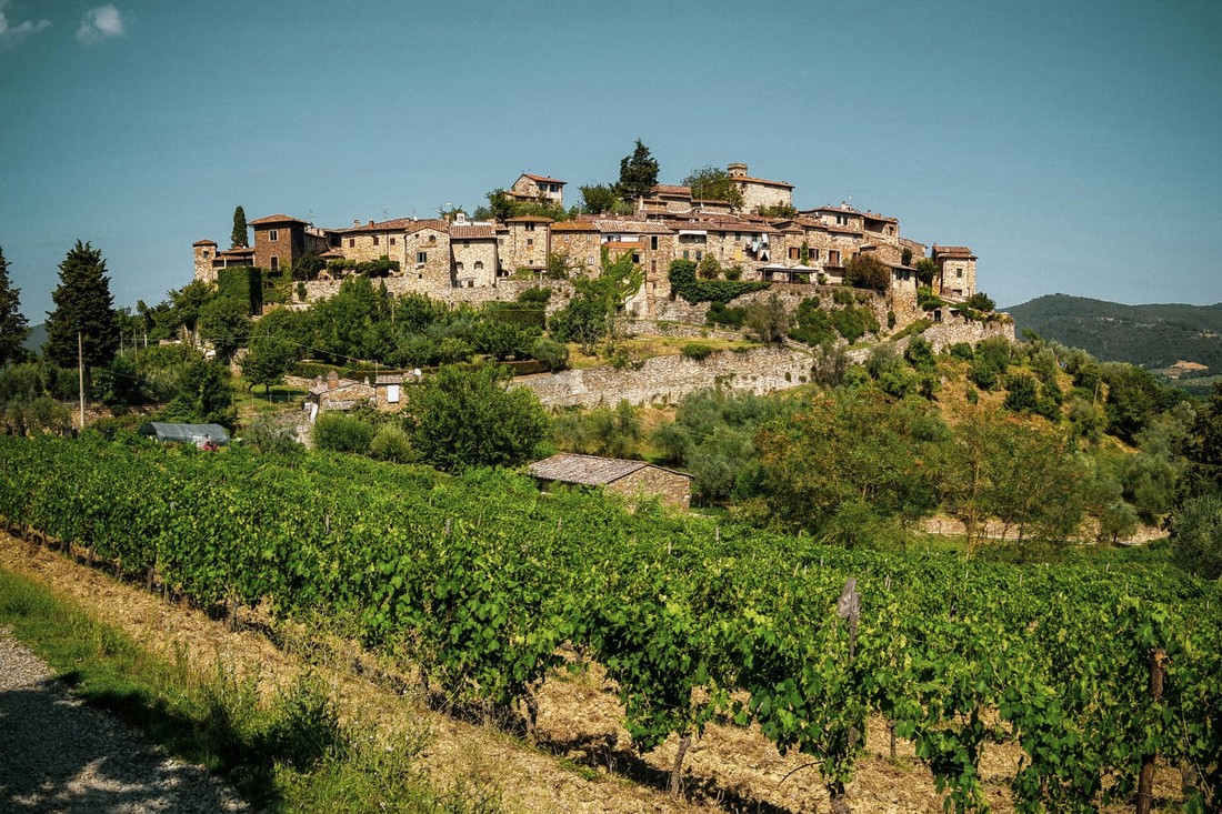 Italija ostala najveći proizvođač vina na svijetu, Španjolska ima najviše vinograda
