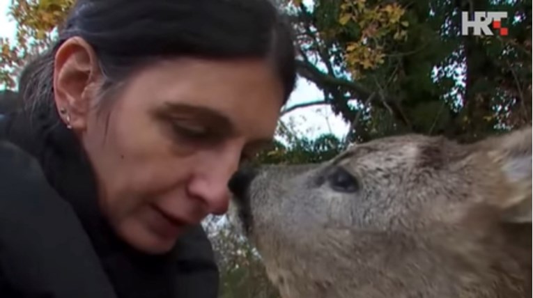 Obitelj iz Istre spasila malo lane. Bambi je sad dio njihove obitelji