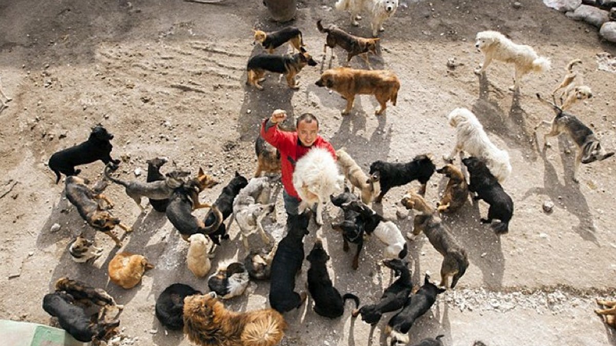 Odrekao se novca kako bi spasio pse koji bi završili na jelovniku u restoranu