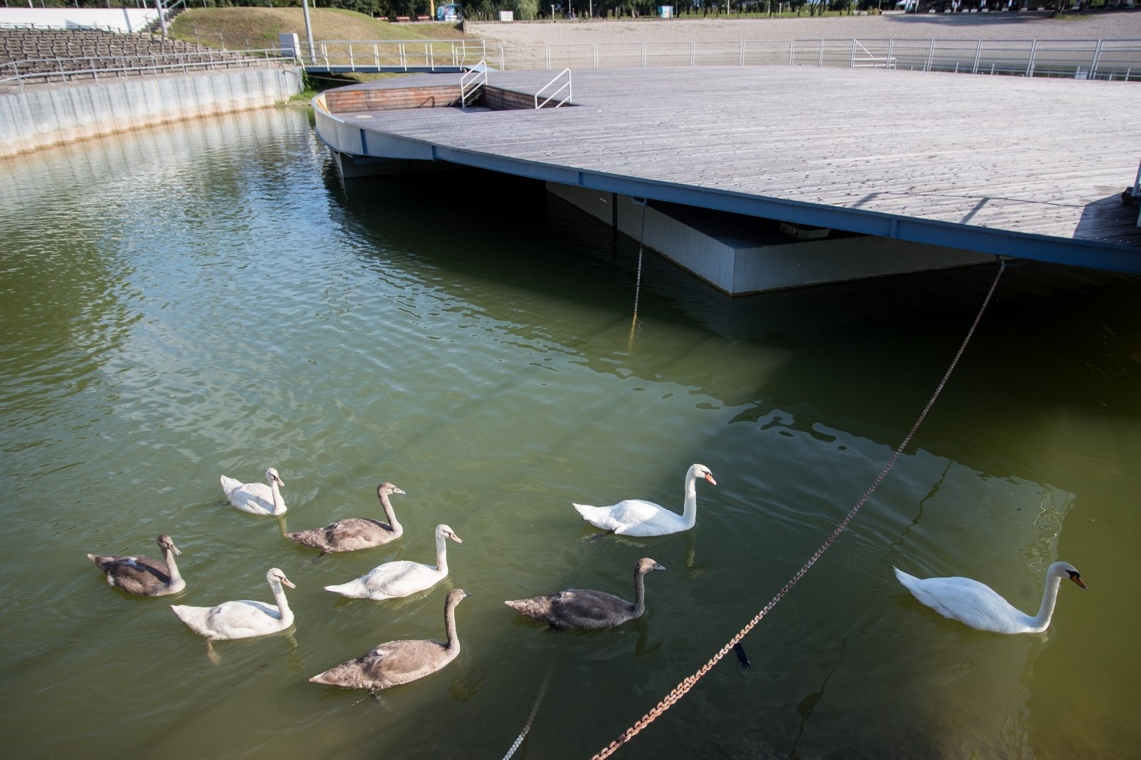 Od sada se možete kupati na Bundeku, kažu da je voda izvrsna
