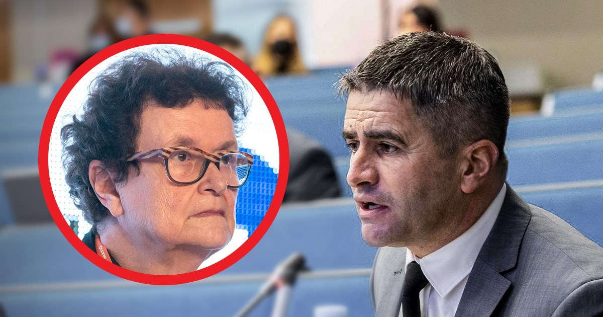 Profesorica s osječke Ekonomije o spašavanju Vice: Da nije tužno, bilo bi smiješno