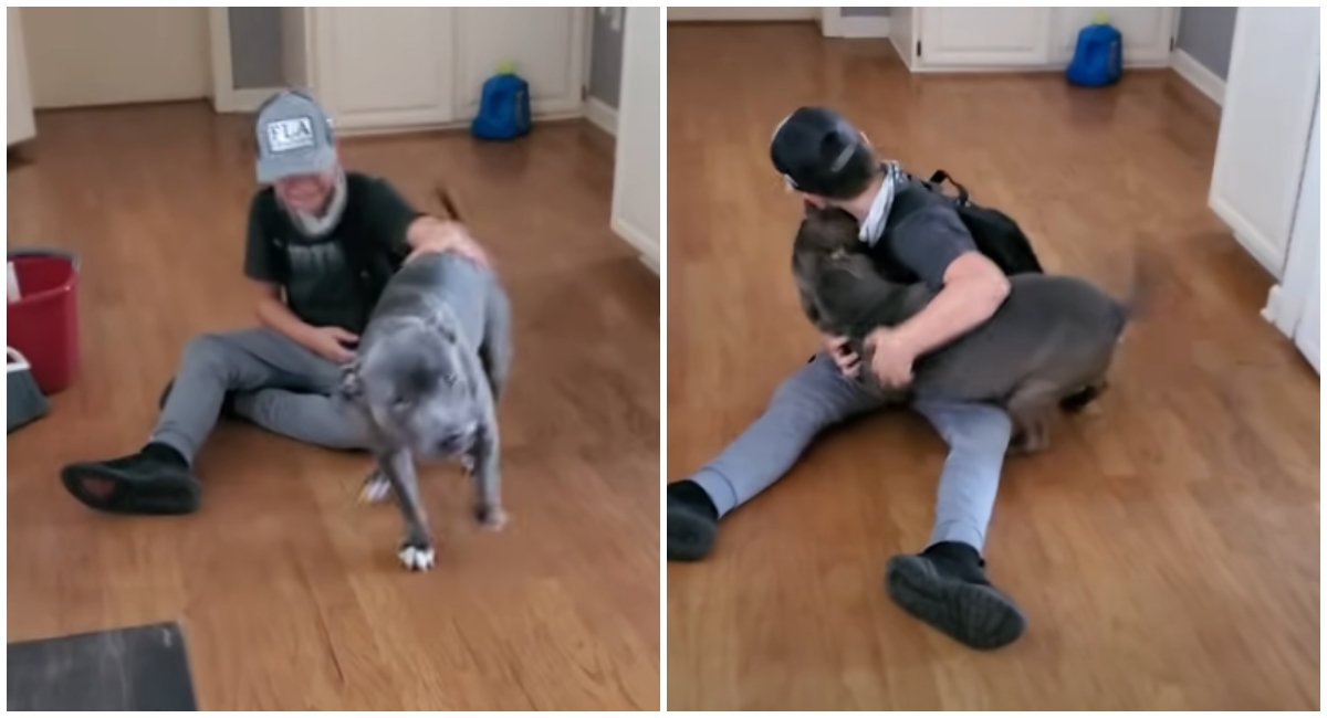 VIDEO Ponovni susret dječaka i njegovog izgubljenog psa topi srca