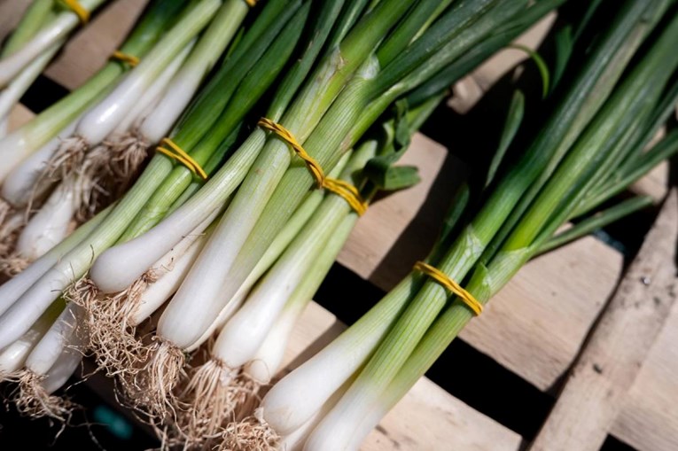 Umirovljeniku kod Grubišnog Polja iz vrta ukrali povrće: "Uzgajao sam ga za sebe"