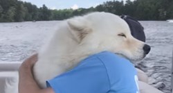 Pas i vlasnik uživaju u vožnji gliserom i najslađem zagrljaju