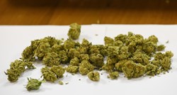 Kod Bjelovara čuvao tri kilograma marihuane u raznim oblicima