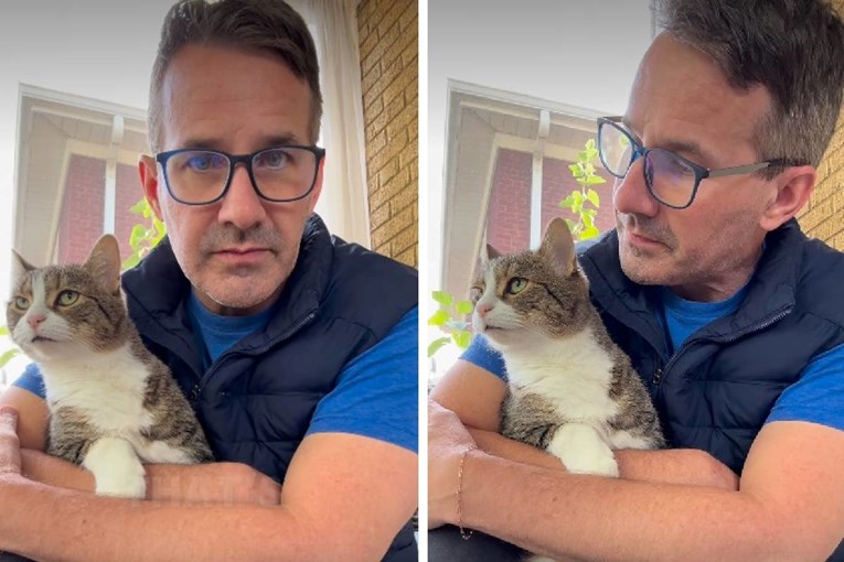 Veterinaru pisali da je "odvratno" puštati mačke na namještaj. Njegov odgovor je hit