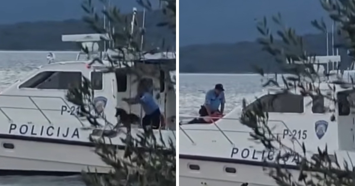 Policija priznala da je lagala o bacanju psa u more na Pašmanu