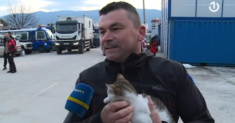 Plot twist: Mačka koju je spasilac pronašao u Turskoj i donio u BiH ima vlasnika