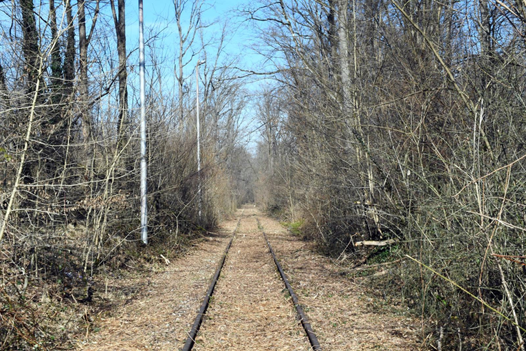 HSS protiv megafarmi pilića: Hrvatsko selo ne smije biti poligon za eksperimente