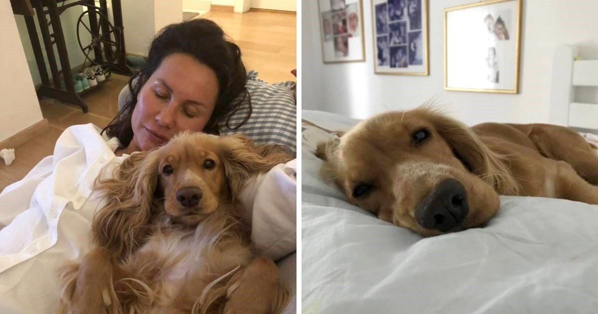 Monika Sablić: Moja kujica je pojela otrov dok smo šetale Splitom, uginula je