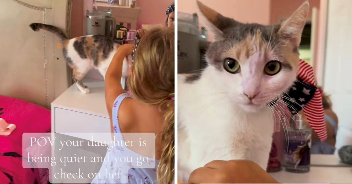 Majka ušla u sobu i otkrila kako se kći i mačka zabavljaju
