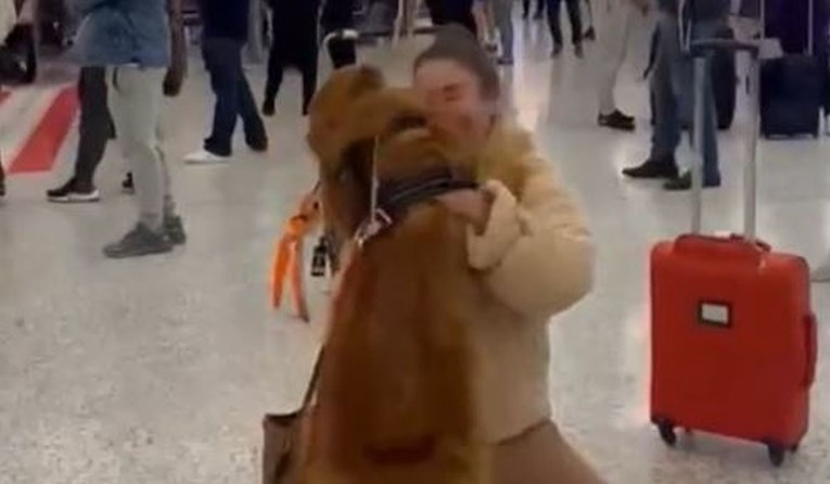 Reakcija psa kada nakon tri mjeseca na aerodromu ugleda vlasnicu otopit će vam srce