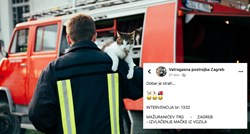 Zagrebački vatrogasci nasmijali objavom: "Dobar je strah, mačka je sama izašla"