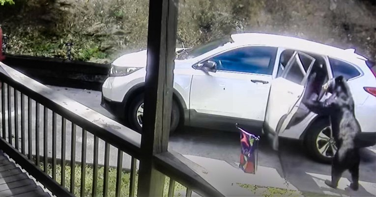 VIDEO Medvjed u potrazi za hranom ušao u parkirani auto