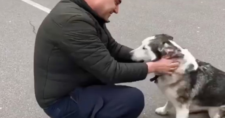 Ukrajinac pronašao svog nestalog haskija, njihov susret će vas dirnuti