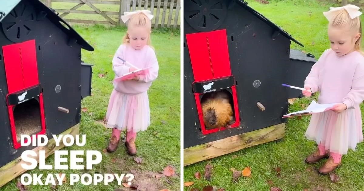 Djevojčica svako jutro prebrojava svoje kokoši. Ljudi pišu: "Ovo je preslatko"