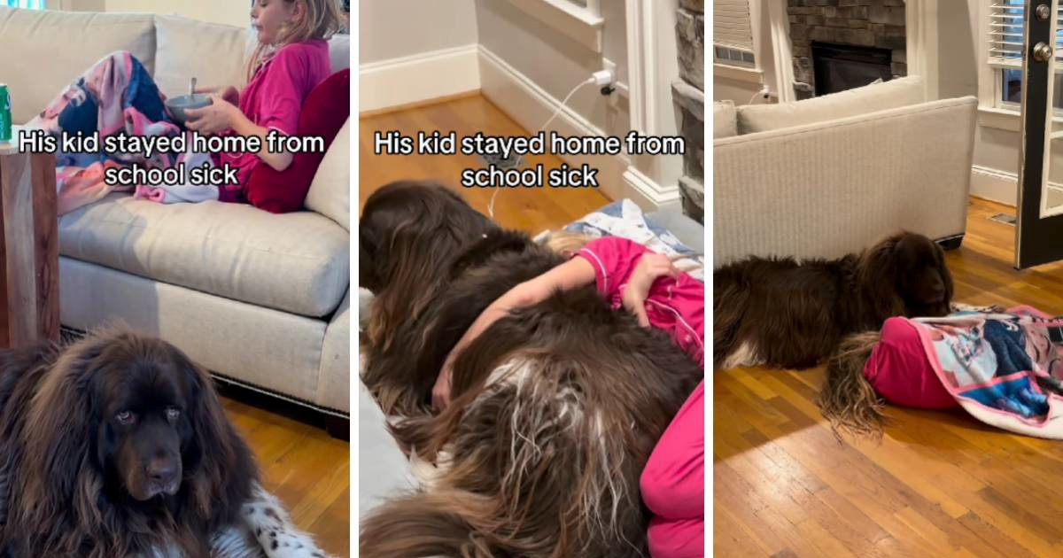 Veliki pas nije se odvajao od bolesne djevojčice i tješio ju je, video je dirljiv