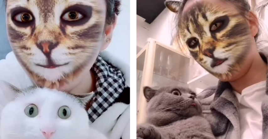 Mačke šokirali filteri na licima vlasnica, njihove reakcije su neprocjenjive