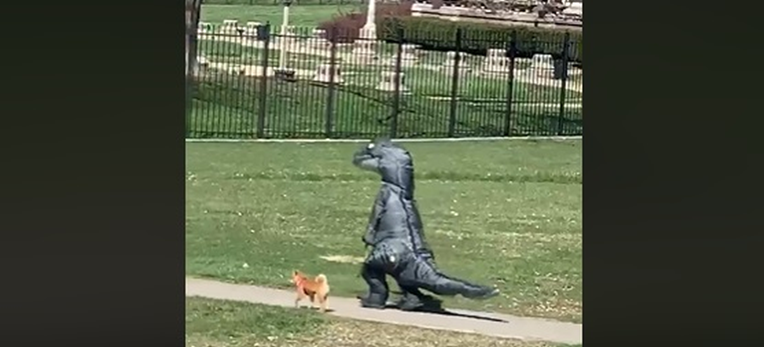 Hit snimka: Tip obučen u dinosaura šetao psa i nasmijao ženu u izolaciji