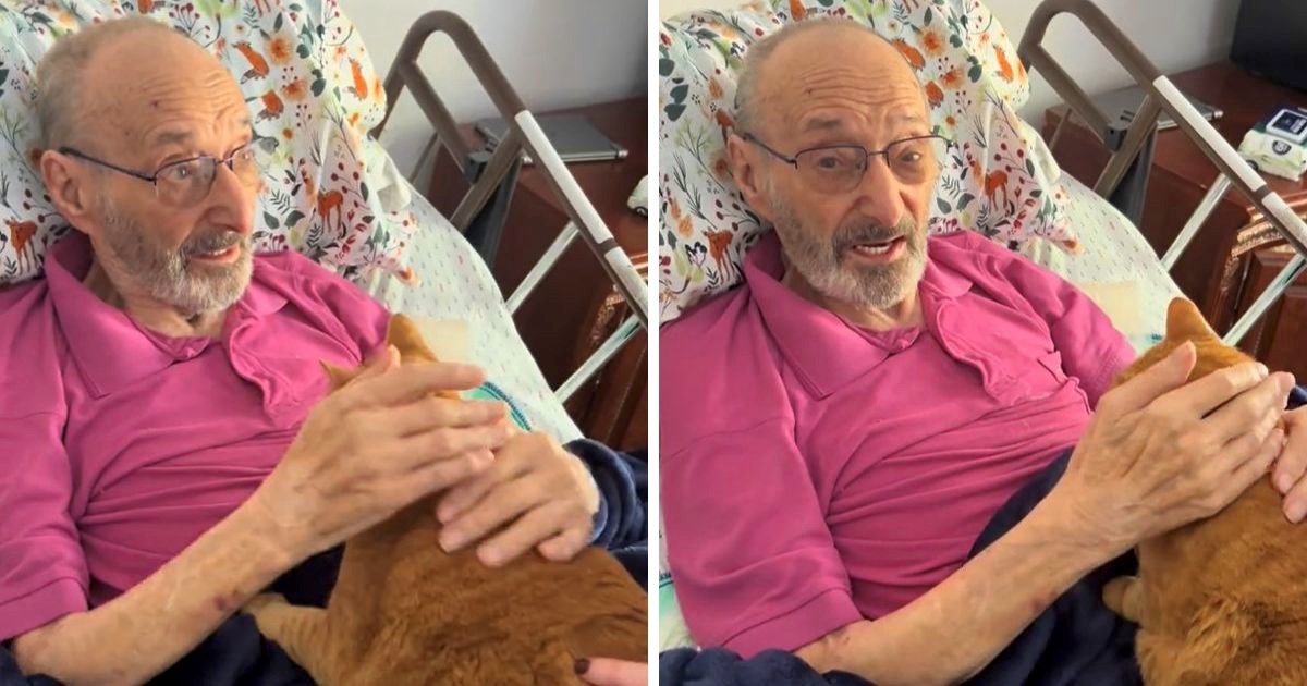 Jedan starački dom dobio posebnu gošću: Narančasta mačka svima je uljepšala dan