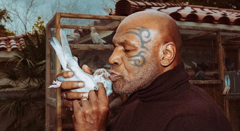 VIDEO Tyson je prvi udarac u životu zadao tipu koji je njegovom golubu otkinuo glavu