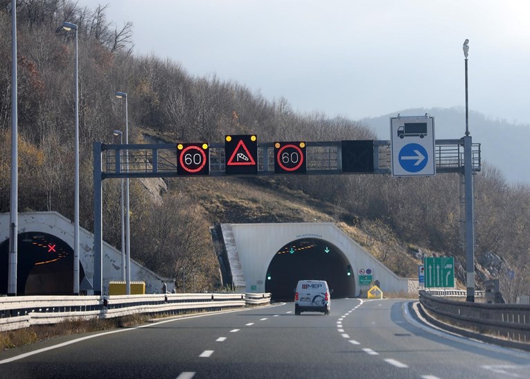 Oprez, srna na autocesti Rijeka-Zagreb