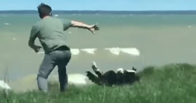 Vlasnik heroj spasio svog psa od pada s litice, sve je uhvatila kamera